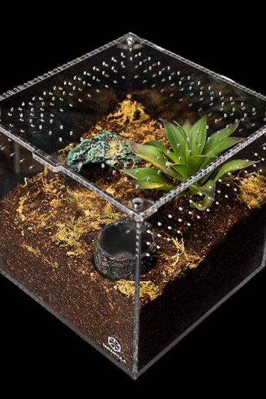 Tarantula Cribs Tarantula Cribs – 3 x 3 x 3 in