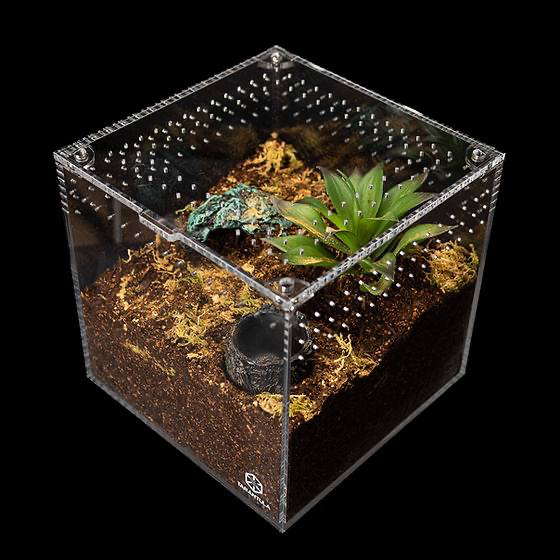 Tarantula Cribs Tarantula Cribs – Cube 3 x 3 x 3 po