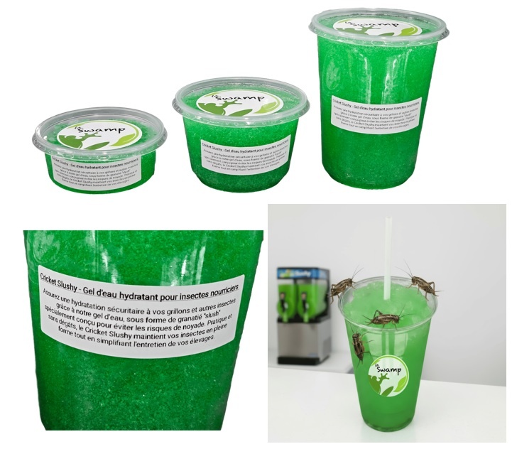 La Swamp Eau à grillons (Cricket Slushy)