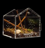 Tarantula Cribs Tarantula cribs  - Canopy Cube for Tarantula 3 x 3 x 3 in