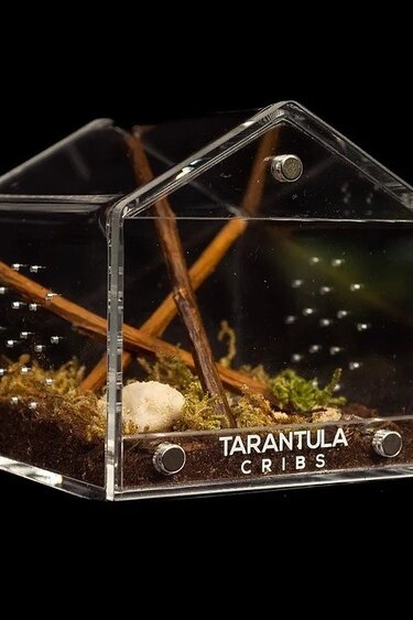 Tarantula Cribs Tarantula cribs  - Canopy Cube for Tarantula 3 x 3 x 3 in