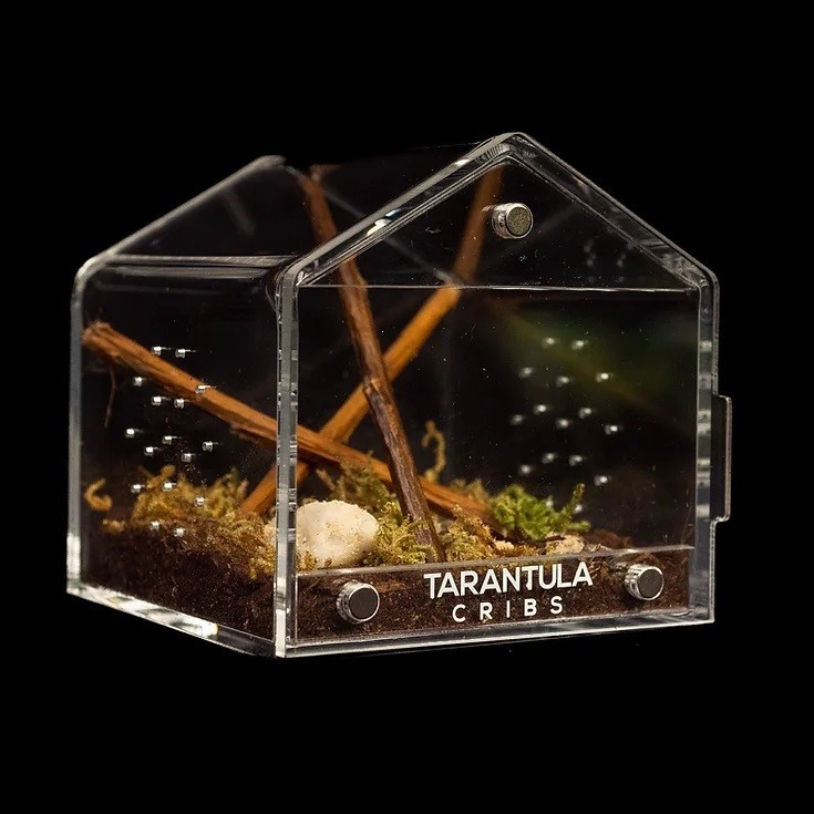 Tarantula Cribs Tarantula cribs  - Cube Canopée pour tarantule 3 X 3 X 3 po