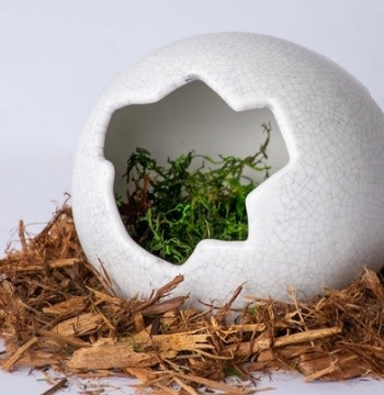 Galapagos Galapagos Ceramic Egg Hide