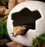 Galapagos Galapagos Ceramic Egg Hide