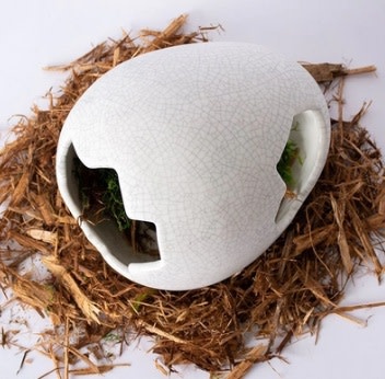 Galapagos Galapagos Ceramic Egg Hide
