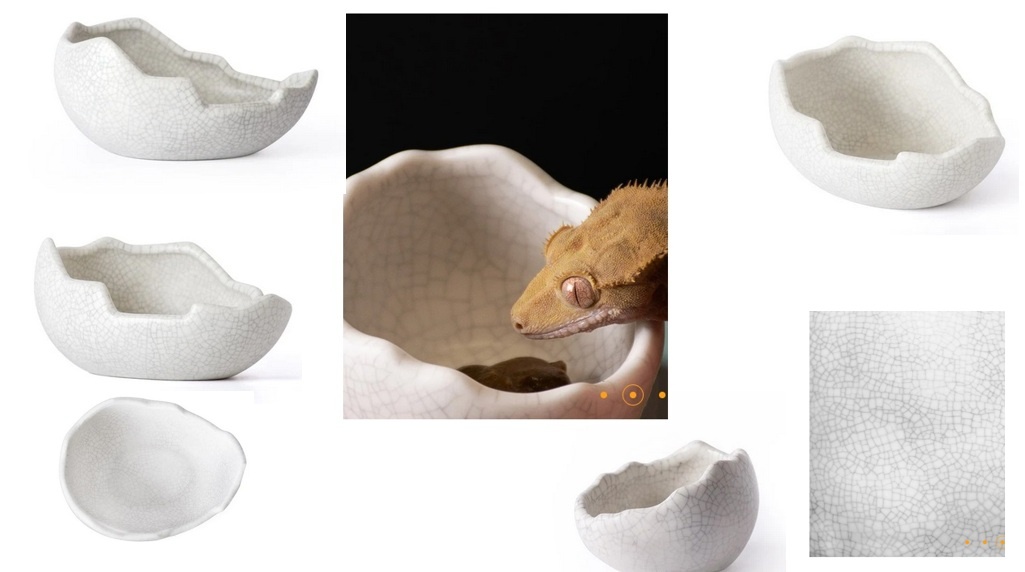 Galapagos Galapagos Ceramic Egg Dish