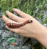 Magazoo Serpent laitier Nelson #2