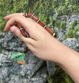 Magazoo Nelson milk snake #2
