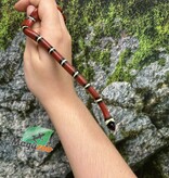 Magazoo Serpent laitier Nelson #2