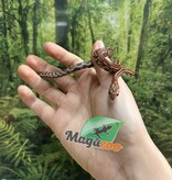 Magazoo Serpent des blés Tessera (D. het. Amel Anery) Bébé #5 Femelle