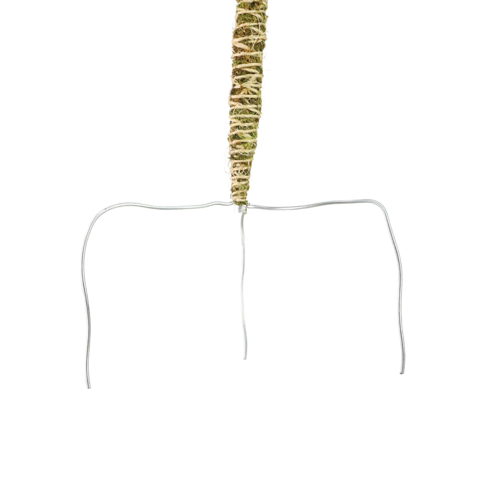 Mossify 3 Pack - Bendable Moss Pole™ THIN of 40 cm (16 po)