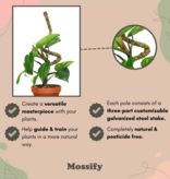 Mossify 3 Pack - Bendable Moss Pole™ THIN of 40 cm (16 po)