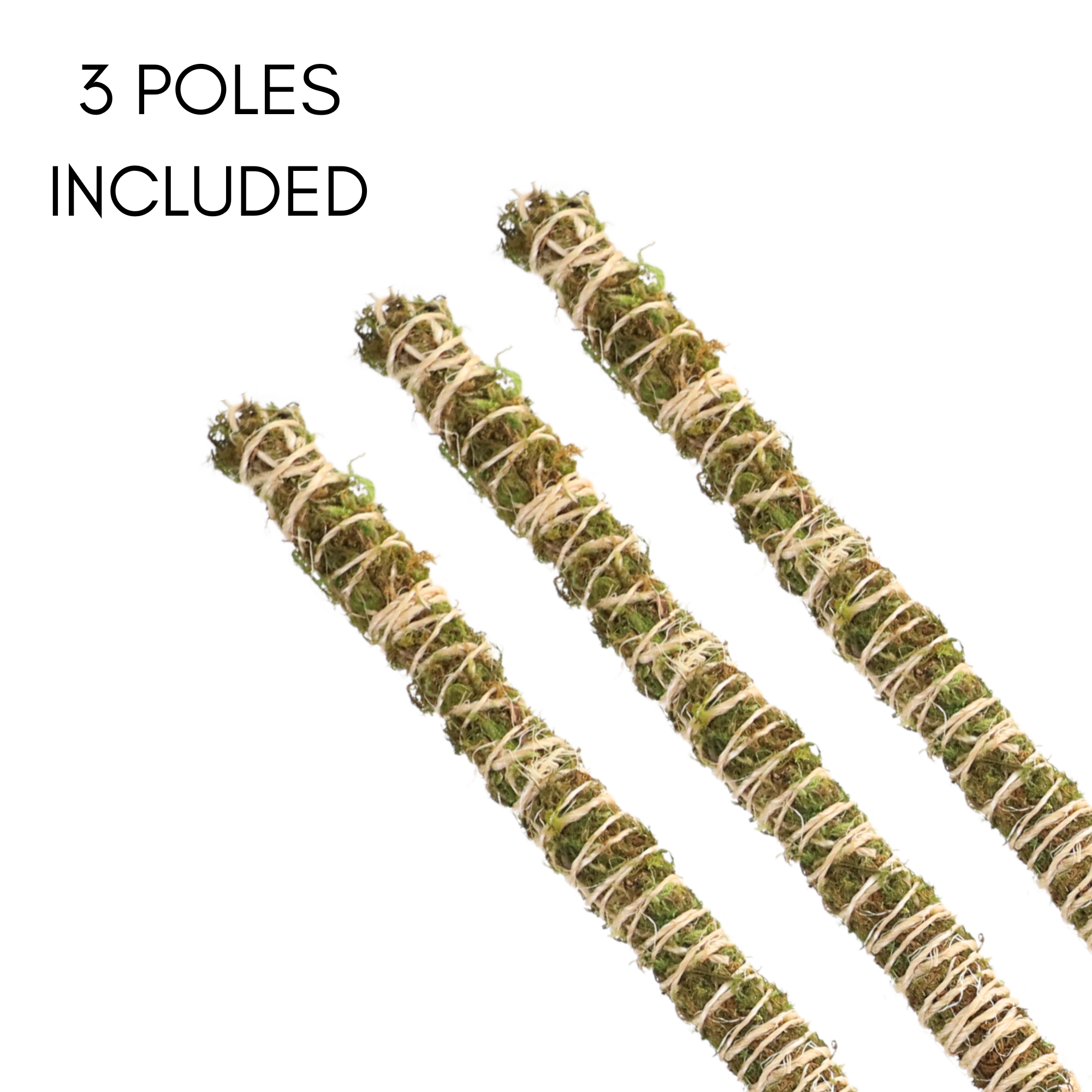 Mossify 3 Pack - Bendable Moss Pole™ THIN of 40 cm (16 po)