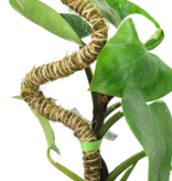 Mossify 3 Pack - Bendable Moss Pole™ THIN of 40 cm (16 po)