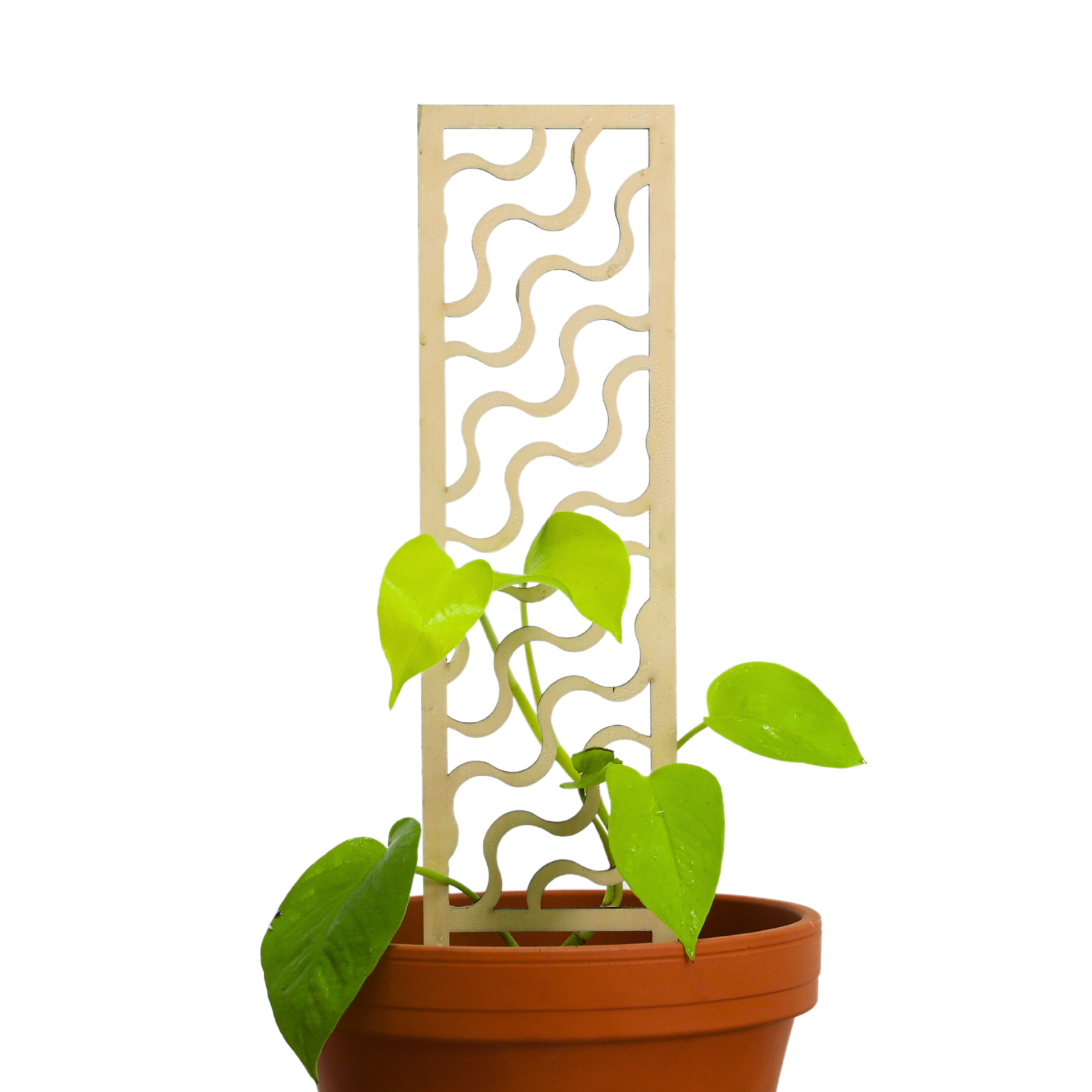 Mossify Copacabana Wooden Trellis