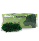 Mossify Premium Preserved Forest Moss 150 g | 5,3 oz