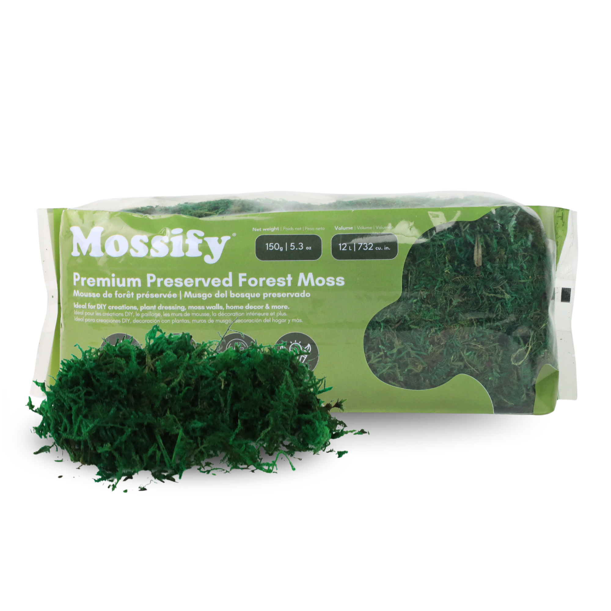 Mossify Premium Preserved Forest Moss 150 g | 5,3 oz