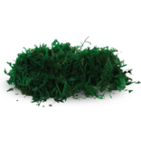 Mossify Premium Preserved Forest Moss 150 g | 5,3 oz