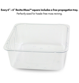 Mossify MOSSIFY REV-MX-0004 Paquet de mousse  mixte Revita-Moss