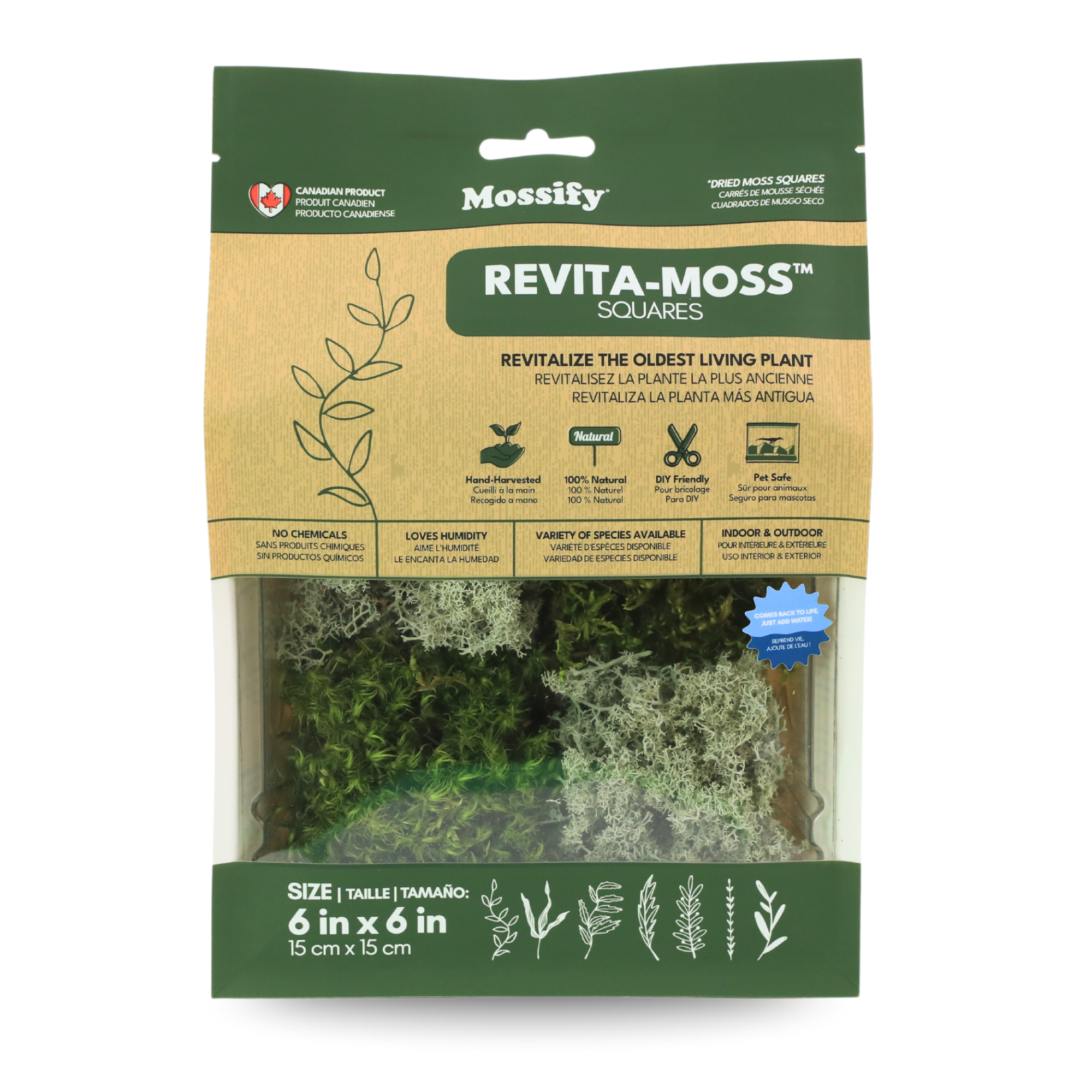 Mossify MOSSIFY REV-MX-0004 Paquet de mousse  mixte Revita-Moss