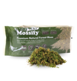 Mossify MOSSIFY FOR-N-0001 Mousse forestière naturelle de qualité supérieure 75g