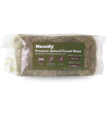 Mossify MOSSIFY FOR-N-0001 Mousse forestière naturelle de qualité supérieure 75g