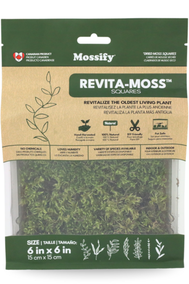 Mossify Natural Forest Moss (Pleurozium schreberi) - Live Moss / Dormant Moss - Revita-moss Retail Pack