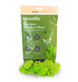 Mossify Premium Reindeer Mint Moss 100g
