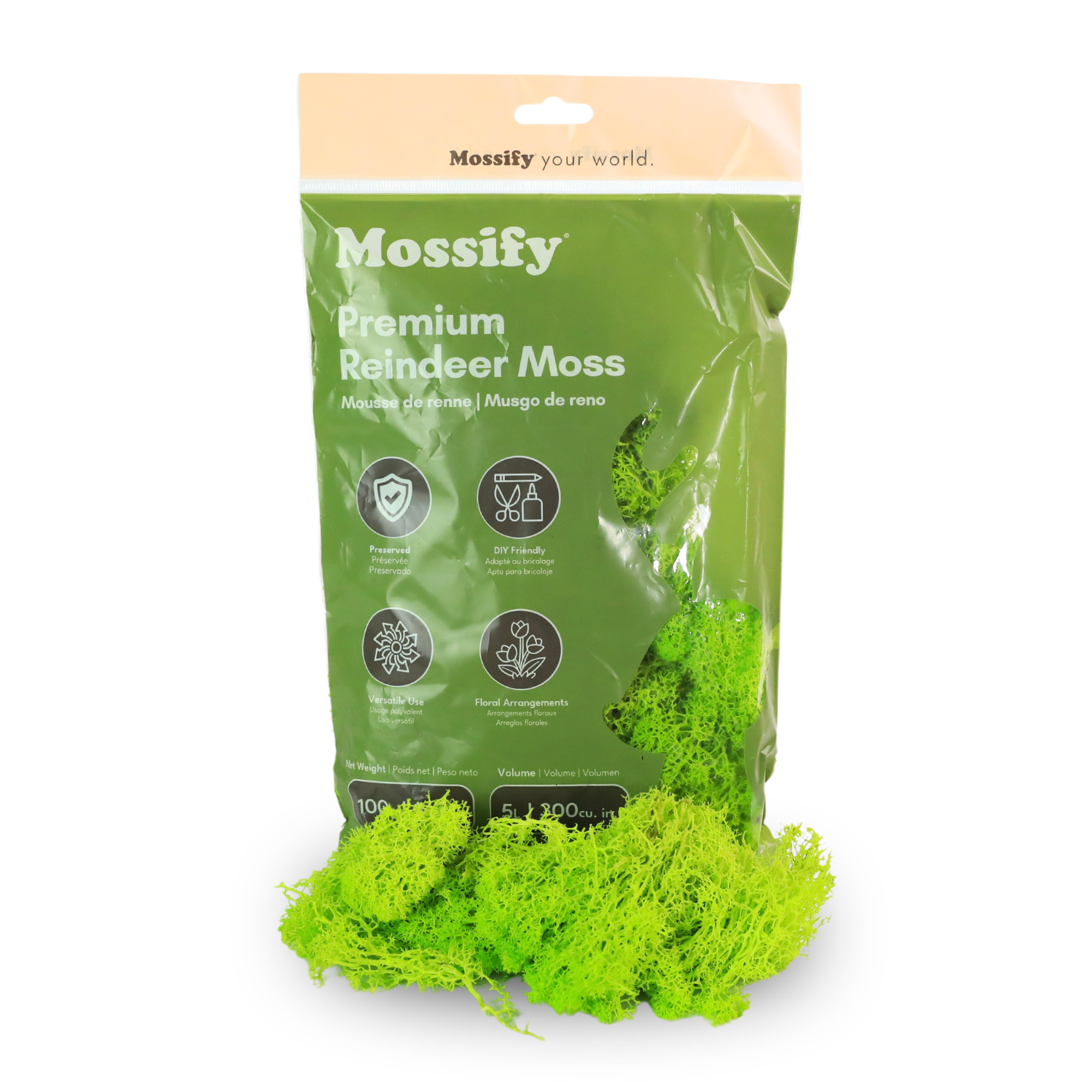 Mossify Premium Reindeer Mint Moss 100g