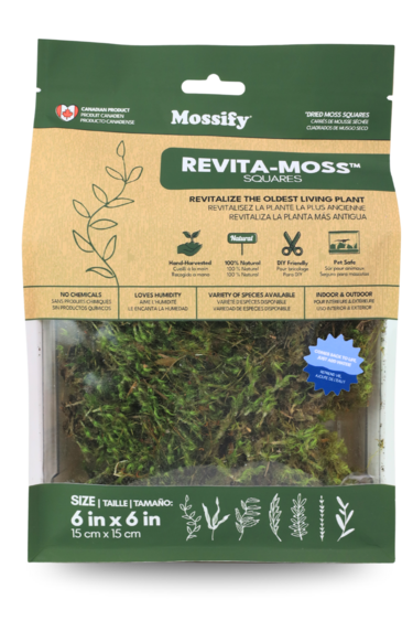 Mossify Mood Moss (Dicranum) - Live Moss / Dormant Moss - Revita-moss Retail Pack
