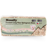 Mossify Premium Natural Sphagnum Moss 150 g | 5,3 oz