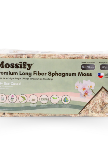 Mossify Premium Natural Sphagnum Moss 150 g | 5,3 oz