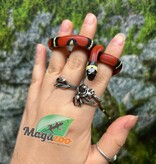 Magazoo Nelson milk snake #1