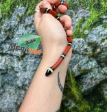 Magazoo Nelson milk snake #6