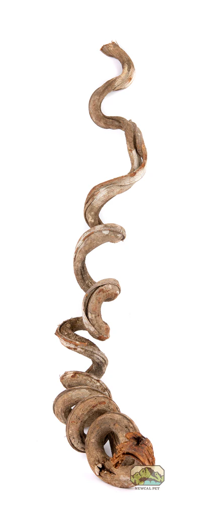 NewCal Pets NEWCAL Liane de vigne (Rosca) Épaisse