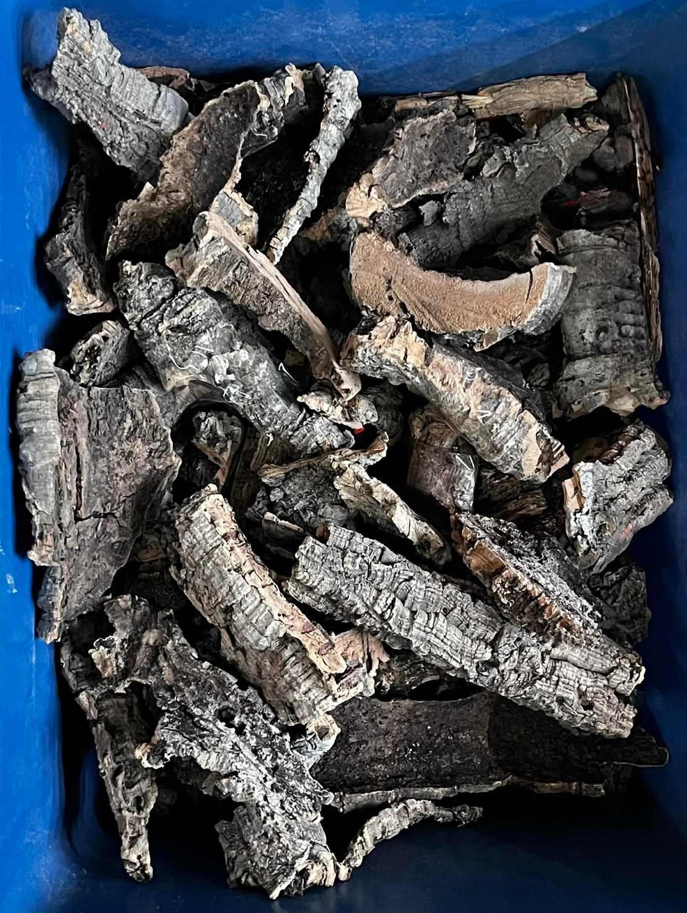 NewCal Pets Cork Pt de 15 lbs   SMALLER PIECES & BITS