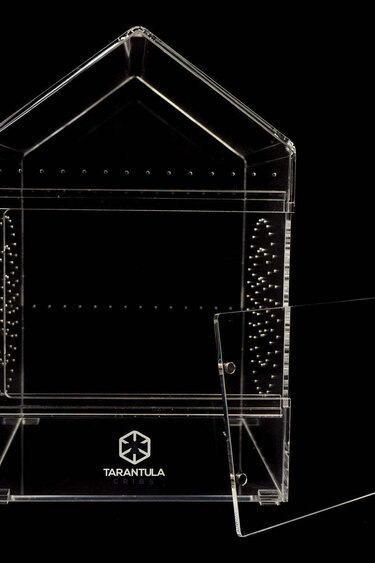 Tarantula Cribs Tarantula Cribs - Tree Canopy 6x6x8 in