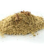 Zoomed ZOO MED 78403  Équilibre des insectes - Bug Balance Gut-Load