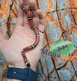 Magazoo Serpent laitier Nelson #4