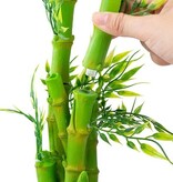 ReptiZoo REPTIZOO RZ-DF05 2-In-1 Height Adjustable Bamboo Planter Dripper