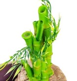 ReptiZoo REPTIZOO RZ-DF05 Pot de fleurs goutte-à-goutte en bambou 2 en 1 à hauteur réglable