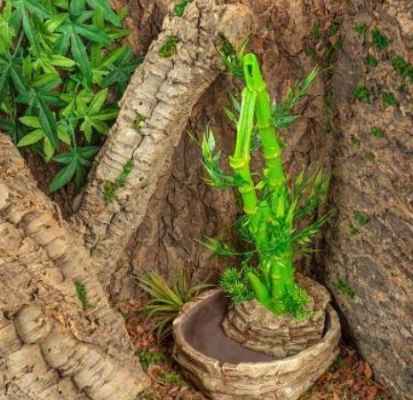 ReptiZoo REPTIZOO RZ-DF05 Pot de fleurs goutte-à-goutte en bambou 2 en 1 à hauteur réglable