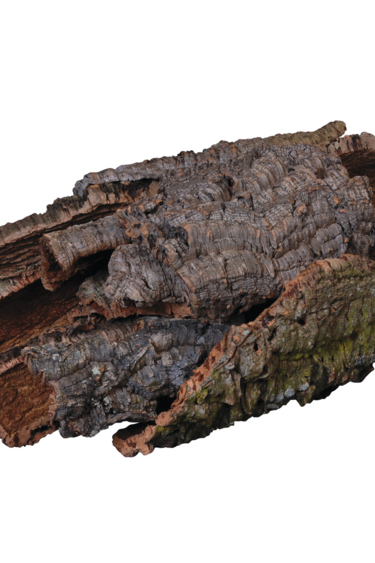 Jurassic Reptile JURASSIC REPTILE 21960 Écorce naturelle - boîte 15Lbs