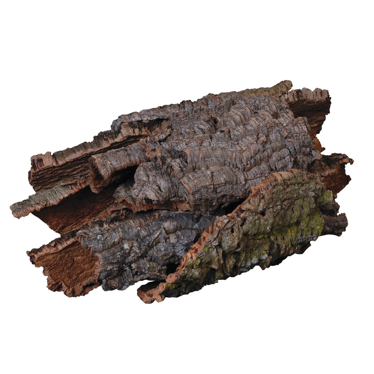 Jurassic Reptile Cork Bark box of 15 pounds