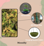 Mossify Premium Natural Forest Moss 150g.