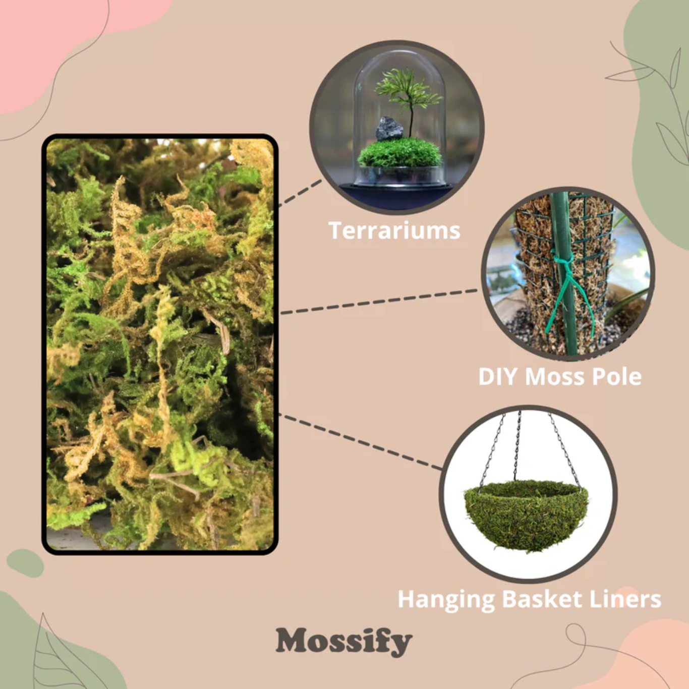 Mossify Premium Natural Forest Moss 150g.