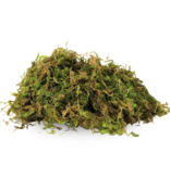 Mossify Premium Natural Forest Moss 150g.