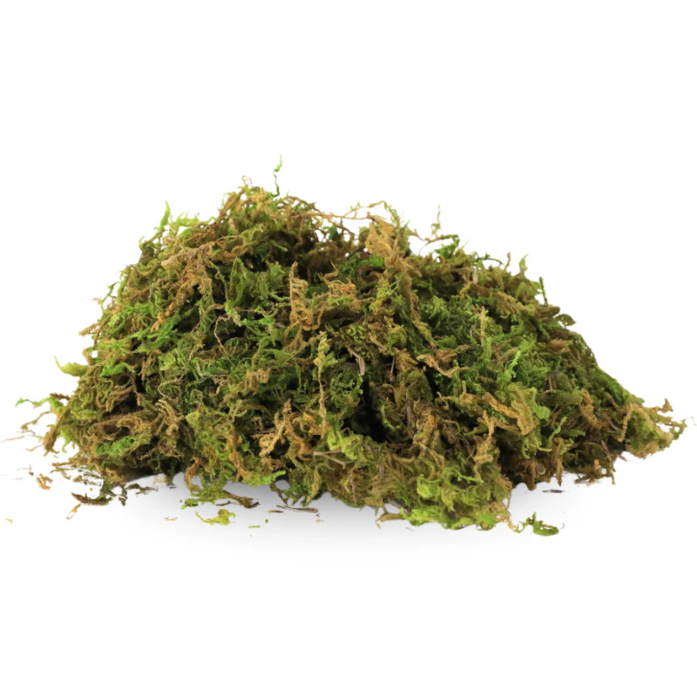 Mossify Premium Natural Forest Moss 150g.