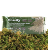 Mossify Premium Natural Forest Moss 150g.