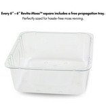 Mossify Natural Canadian Reindeer Moss - Revita-Moss